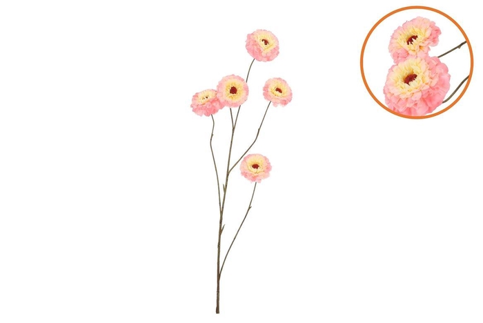 <h4>Silk Zinnia Peach 106cm</h4>