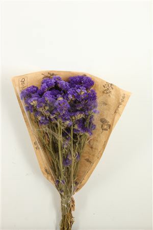 Dried Limonium Statice Blue Bunch