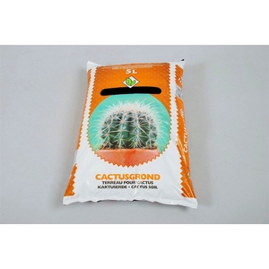 Terrain De Pot Cactus 5 Liter