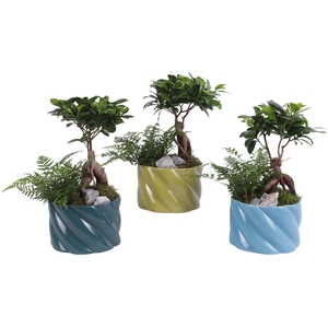 Yearround Arr. Indoor Ceramic Fresh Breeze FB674 Ø17cm 2PP