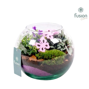 Voorjaar glazen vissenkom met campanula 24uur levertijd