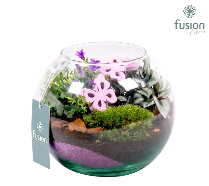 <h4>Voorjaar glazen vissenkom met campanula 24uur levertijd</h4>