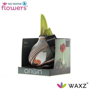 Hipp Waxbulb Artooz Copper Giftbox