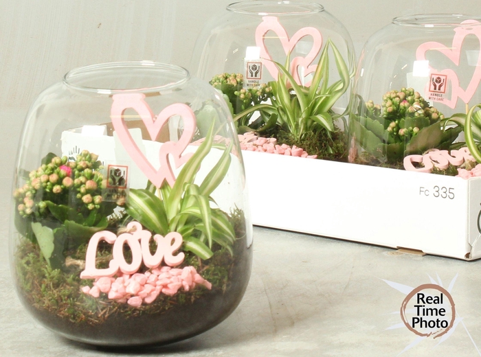 <h4>ARR KAMERPL</h4>