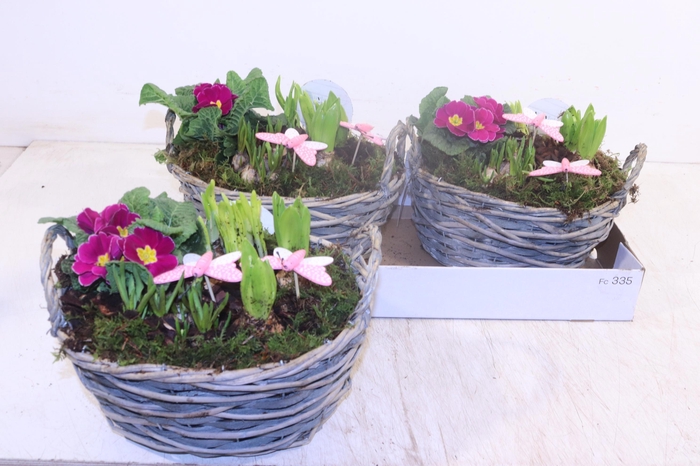 <h4>ARR TUINPLANTEN</h4>