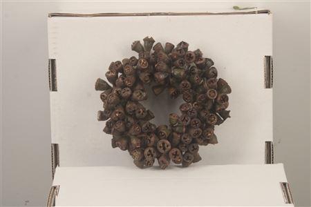 <h4>Wreath Euca Clock 15cm</h4>