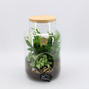 GRCR-2546 Green Essentials Terrarium