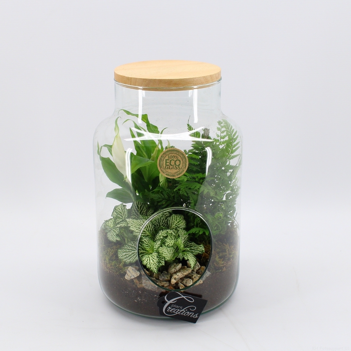 <h4>GRCR-2430 Green Essentials Terrarium</h4>