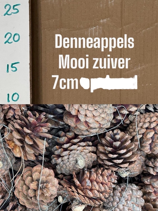 <h4>HUIS EN TUINDECO H%</h4>