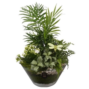 PTIG2677 Arrangement Indoor in glas schaal