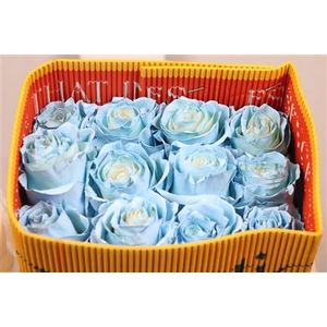 R Gr Nat Bubbly Blue Ec