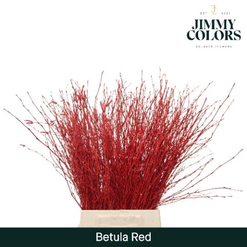 <h4>Betula L60 Red</h4>