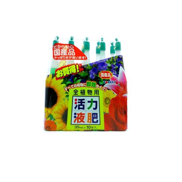 <h4>Yorkey Bonsai Mest & Vitamine Ampoule</h4>