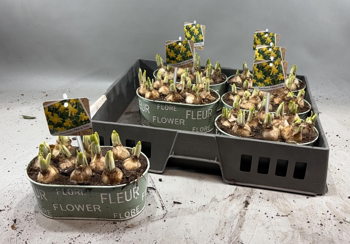 <h4>ARR N TETE A TETE</h4>