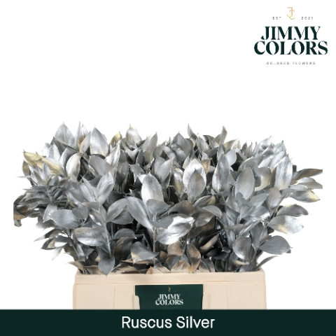 Ruscus L60 Mtlc. Zilver