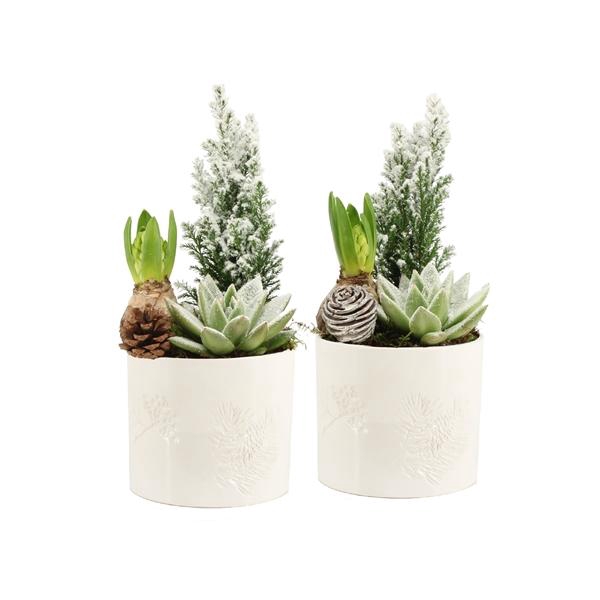 <h4>61692: X-mas arrangement</h4>