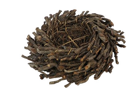 Basket Curly Twig D23