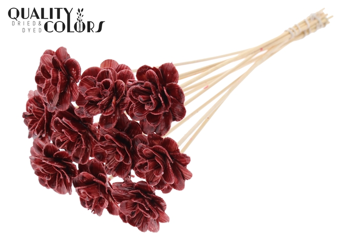 <h4>Beetal Rose 6cm on stem Wax Burgundy</h4>