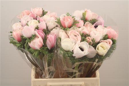 <h4>Anem Mistral White Salmon Super</h4>