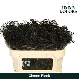 Gyps Xlence L70 Black