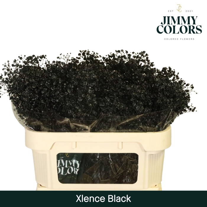 <h4>Gyps Xlence l70 Black</h4>