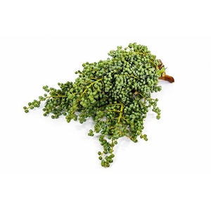 Dadels Sea 2,5 kg Crowns