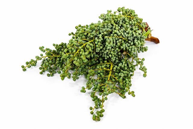 <h4>Dadels Sea 2,5 kg Crowns</h4>
