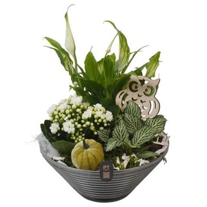 PTHG8261 Arrangement Autumn Glass in glas schaal