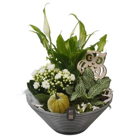 <h4>PTHG8261 Arrangement Autumn Glass in glas schaal</h4>