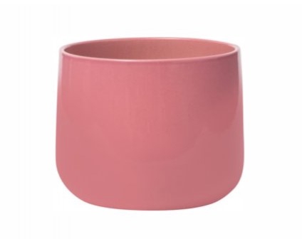 VASO BRETAGNE ROSA D19 A15 IMP
