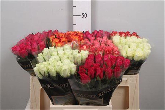 <h4>R Gr Gemengd</h4>