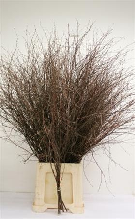 Berk. Naturel Vertakt 90cm