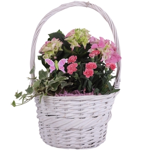 Spring Flower Arr. Outdoor Willow Basket with Handles Ø25cm 3PP