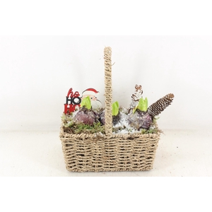 arr4 Hyacint JS - Hengselmand rechth.