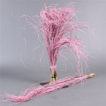 <h4>Beargrass Pink</h4>
