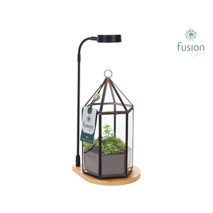 Bamboe plateau met LED licht lamp en vaas en Groen planten