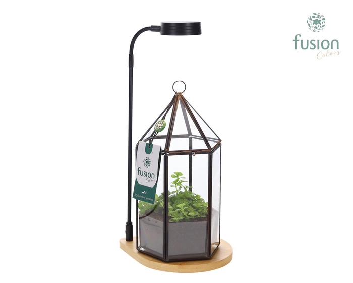 <h4>Bamboe plateau met LED licht lamp en vaas en Groen planten</h4>