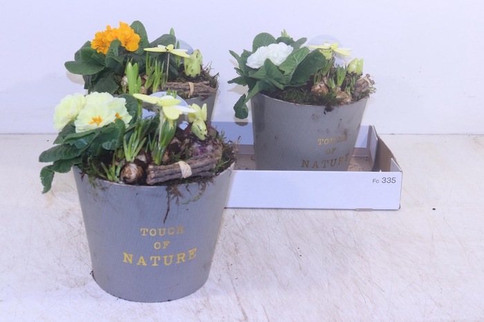 <h4>ARR TUINPLANTEN</h4>