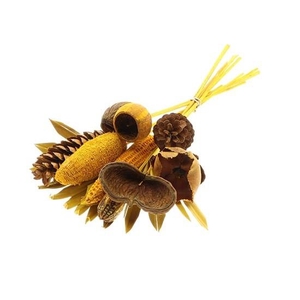 Dried flowers Bouquet Exotic 55cm