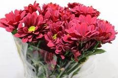 <h4>CHR T BAROLO</h4>