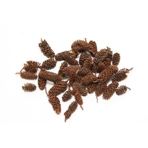 Pinecone Birch 300g