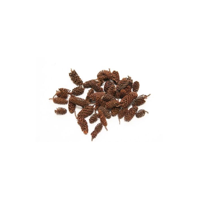 <h4>Pinecone Birch 300g</h4>