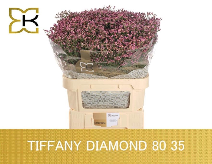<h4>LIM SIN TIFFANY DIAM</h4>