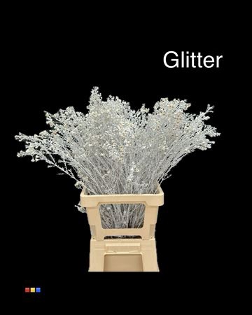 <h4>Waxflower White + Glit Bio</h4>