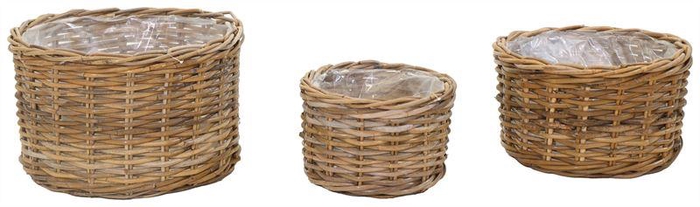 <h4>Lynn Cilinder Low -SP- S3 D27/39H17</h4>