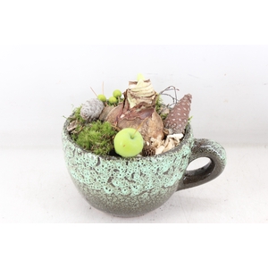 arr4 Amaryllis MB - Luxe mok x6