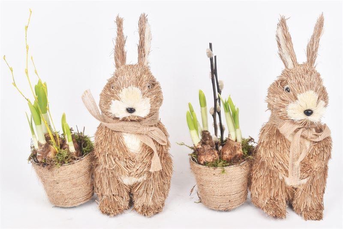 <h4>Stro konijn 19x10cm</h4>