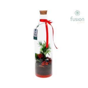 Green Bottle Fles Large Kerst met arrangement