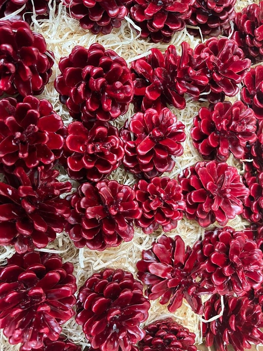 <h4>Denneapp G Op St H</h4>