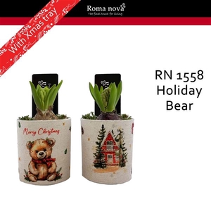 Arrangementen Hyacinthus 6%